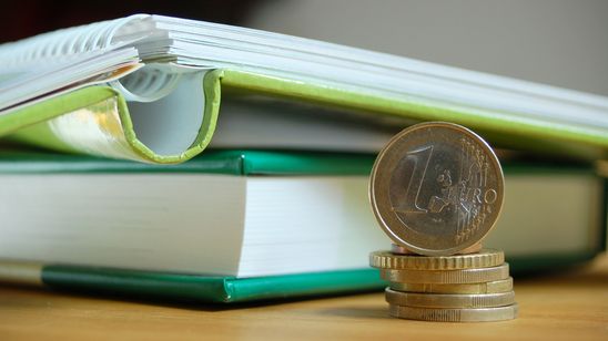 Das Bild zeigt Bücher hinter einem Geldstück.